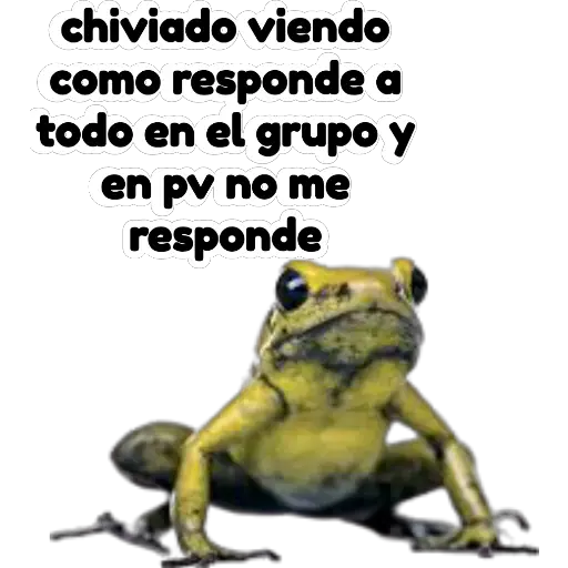 sapos y ranas para my jerrys♡♤ 
