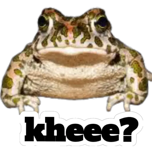 sapos y ranas para my jerrys♡♤ 