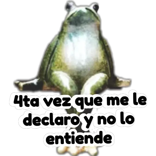 sapos y ranas para my jerrys♡♤ 