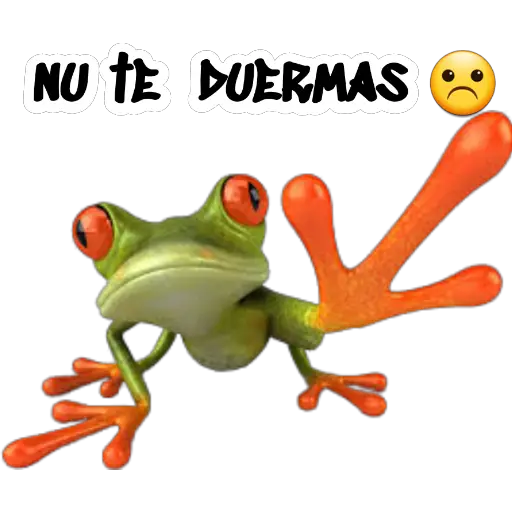 sapos y ranas para my jerrys♡♤ 
