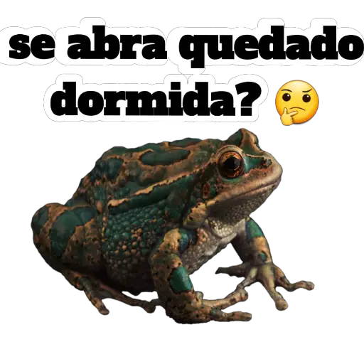 sapos y ranas para my jerrys♡♤ 