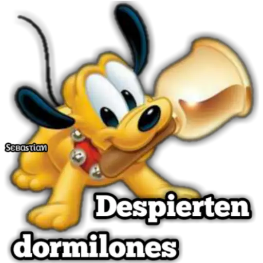 Variados 7