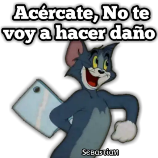 Variados 7
