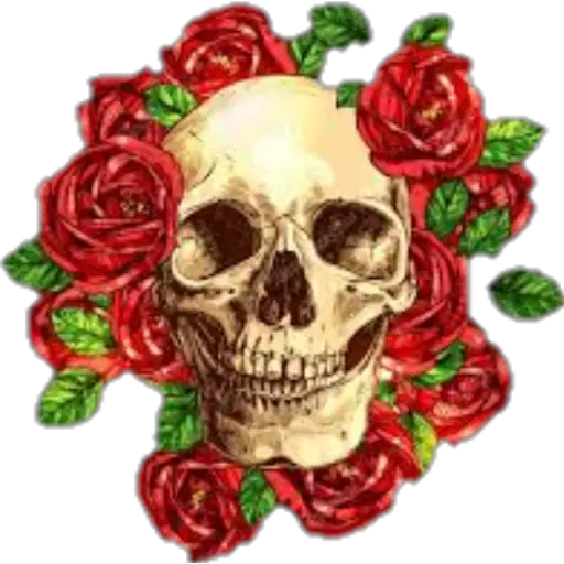 ☠️ Calaveras (1) 💀 