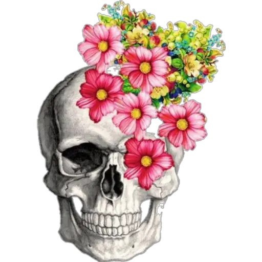 ☠️ Calaveras (2) 💀 