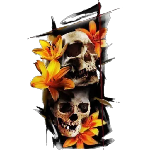 ☠️ Calaveras (2) 💀 