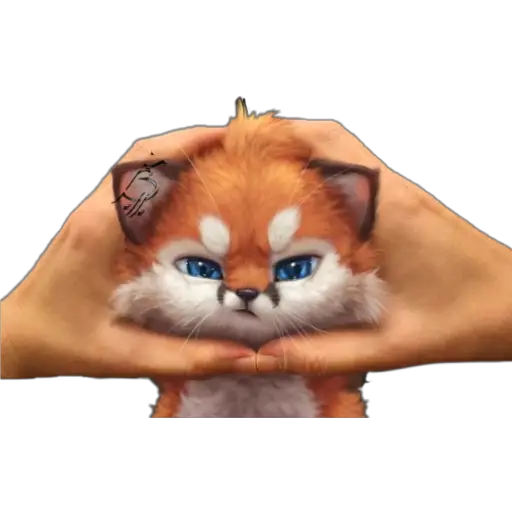 ஓீ͜͜͡❥ Zorrito 🦊 🧡  preview