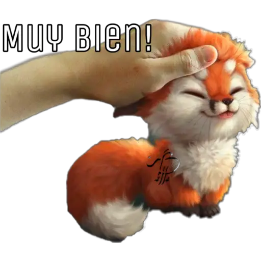 ஓீ͜͜͡❥ Zorrito 🦊 🧡 