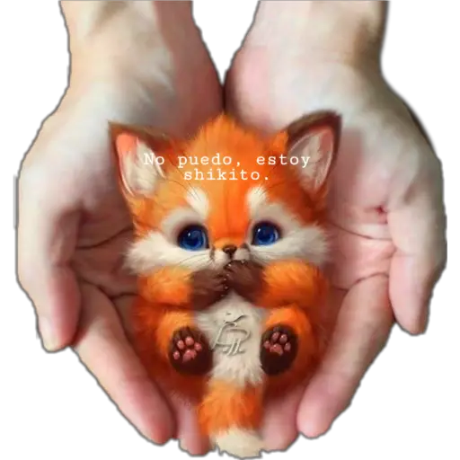ஓீ͜͜͡❥ Zorrito 🦊 🧡 