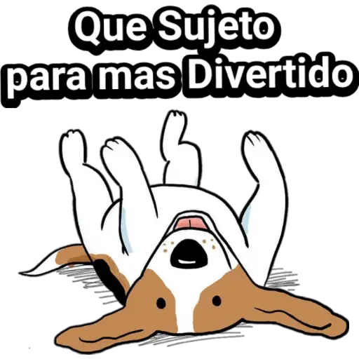 🐕🐩 Cachorros Tiernos 3 💢🐾 