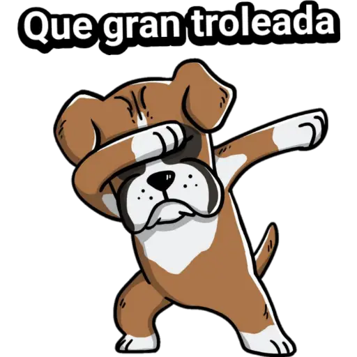 🐕🐩 Cachorros Tiernos 3 💢🐾 