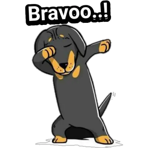 🐕🐩 Cachorros Tiernos 3 💢🐾 