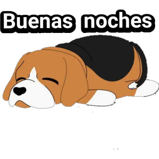 🐕🐩 Cachorros Tiernos 3 💢🐾 
