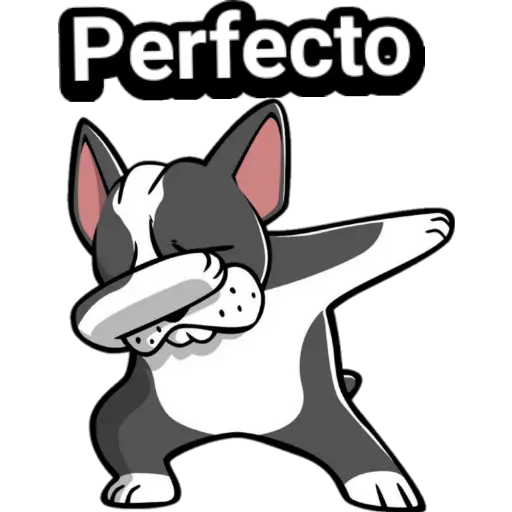 🐕🐩 Cachorros Tiernos 3 💢🐾 