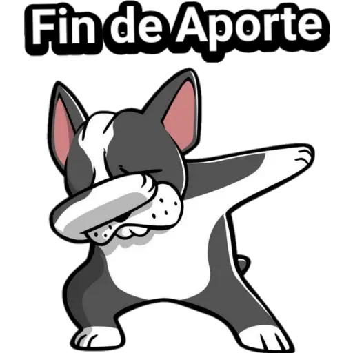 🐕🐩 Cachorros Tiernos 3 💢🐾 