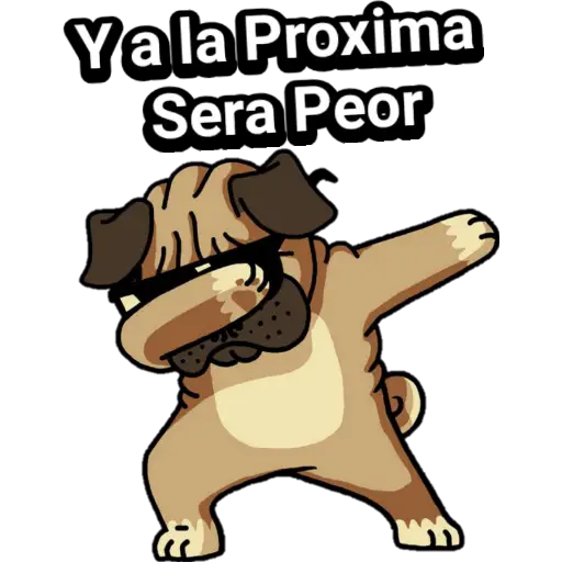 🐕🐩 Cachorros Tiernos 3 💢🐾 