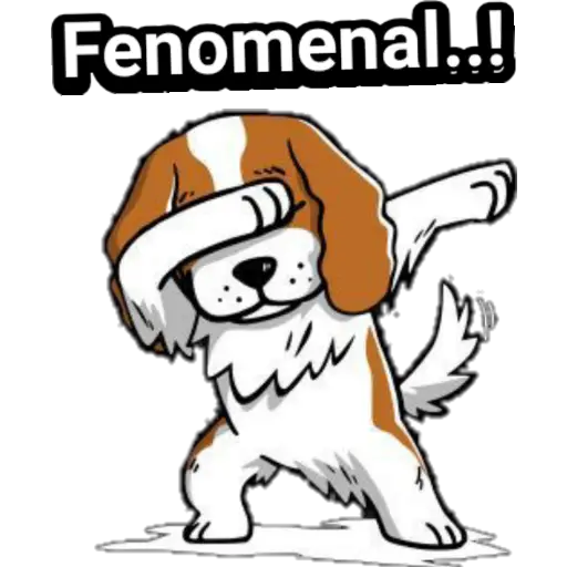 🐕🐩 Cachorros Tiernos 3 💢🐾 