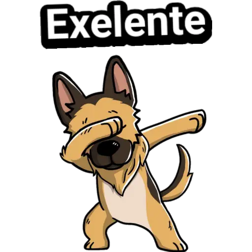 🐕🐩 Cachorros Tiernos 3 💢🐾 