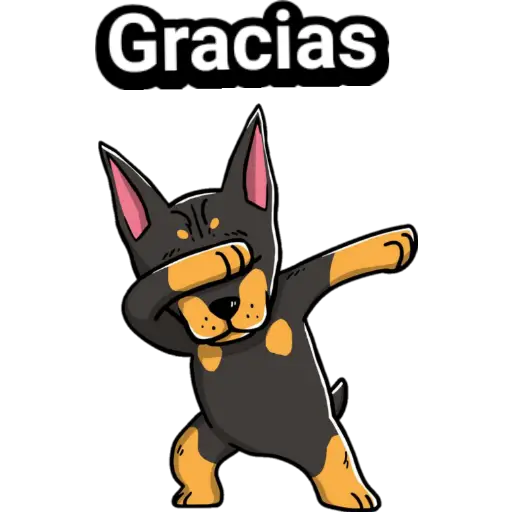 🐕🐩 Cachorros Tiernos 3 💢🐾 