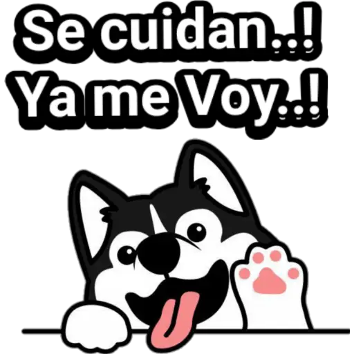 🐕🐩 Cachorros Tiernos 3 💢🐾 
