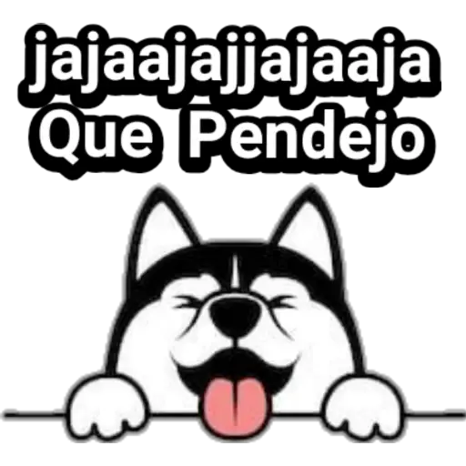 🐕🐩 Cachorros Tiernos 3 💢🐾 