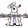 🐕🐩 Cachorros Tiernos 3 💢🐾 