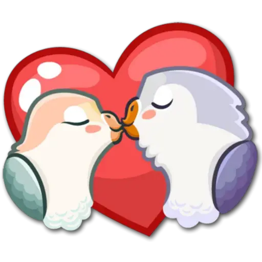 🐦Pajaros Lindos🐦 