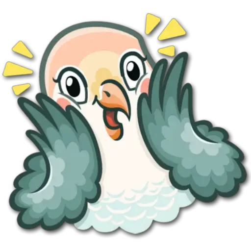🐦Pajaros Lindos🐦 