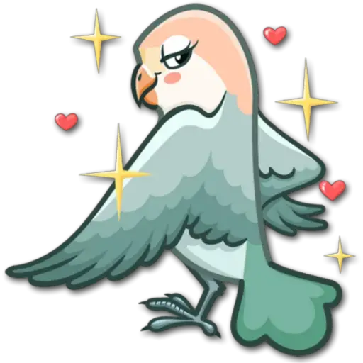 🐦Pajaros Lindos🐦 
