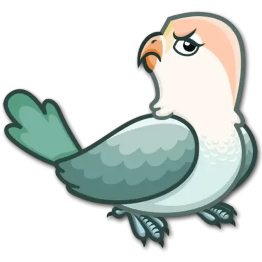 🐦Pajaros Lindos🐦 