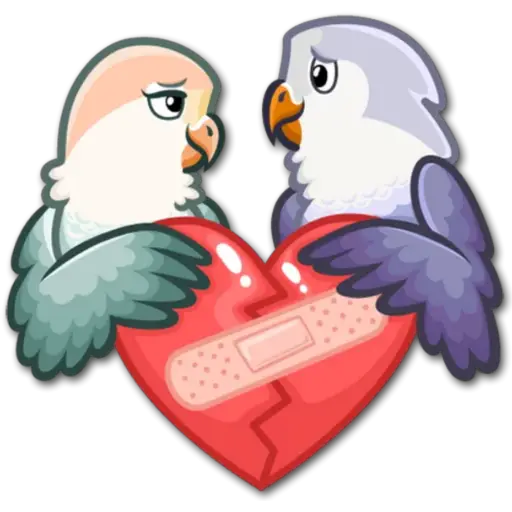 🐦Pajaros Lindos🐦  preview
