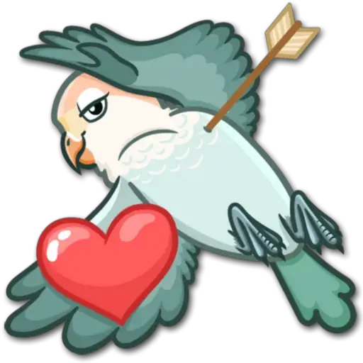 🐦Pajaros Lindos🐦 