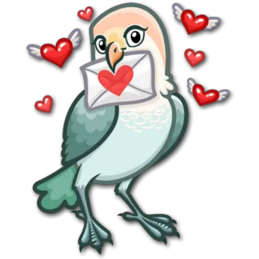 🐦Pajaros Lindos🐦 