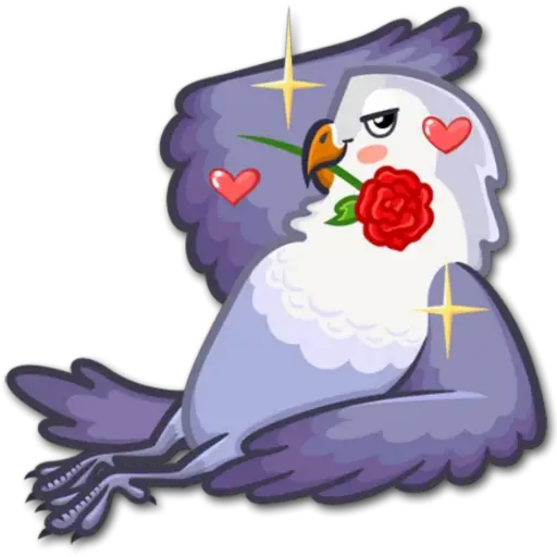 🐦Pajaros Lindos🐦 