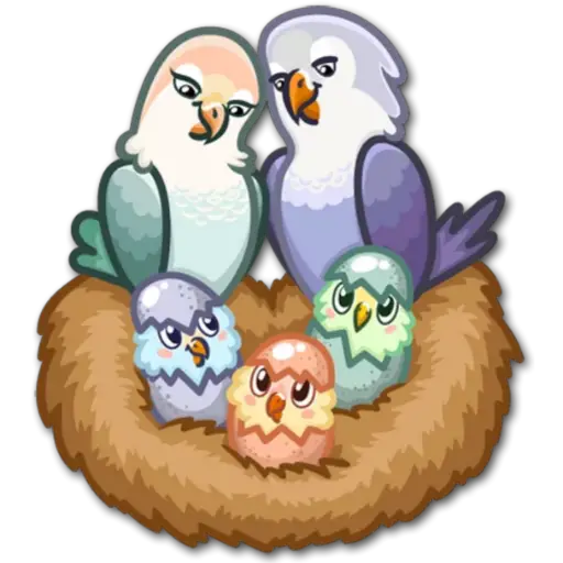 🐦Pajaros Lindos🐦  preview