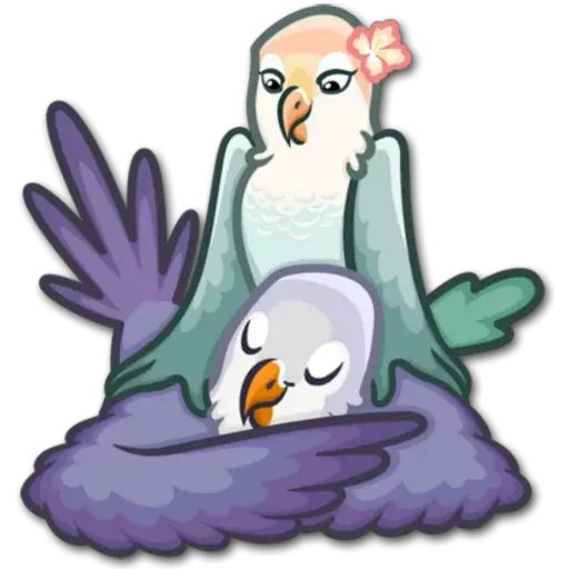 🐦Pajaros Lindos🐦 