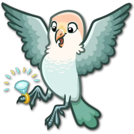 🐦Pajaros Lindos🐦 