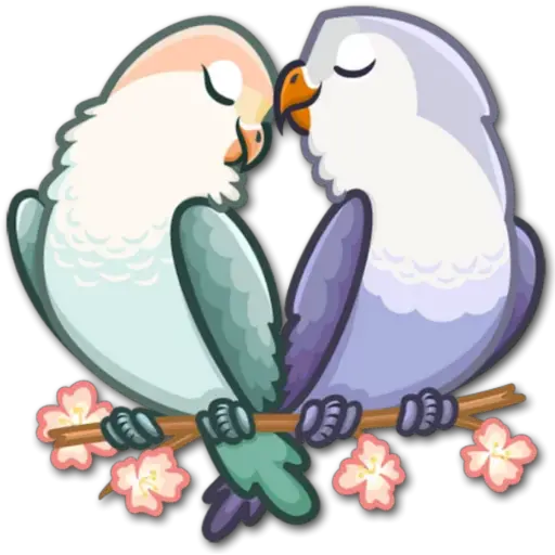 🐦Pajaros Lindos🐦  preview
