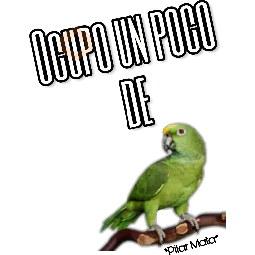 Drogas sticker 18