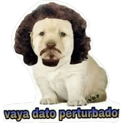 LUISITO COMUNICA