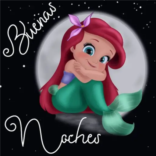 Buenas Noches 🌜🌙 