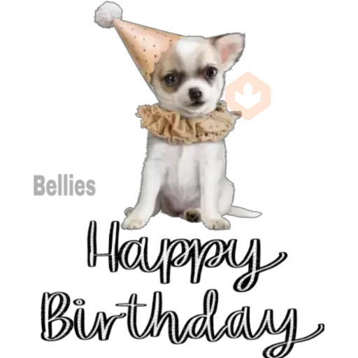 Chihuahuas ¤°¤ sticker 27