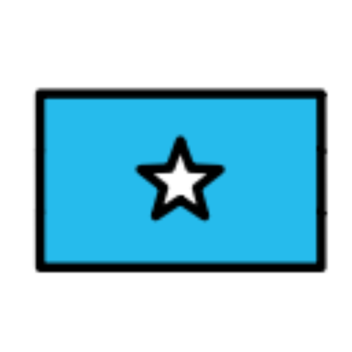 Flags 4