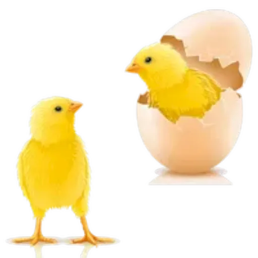 Pascua 
