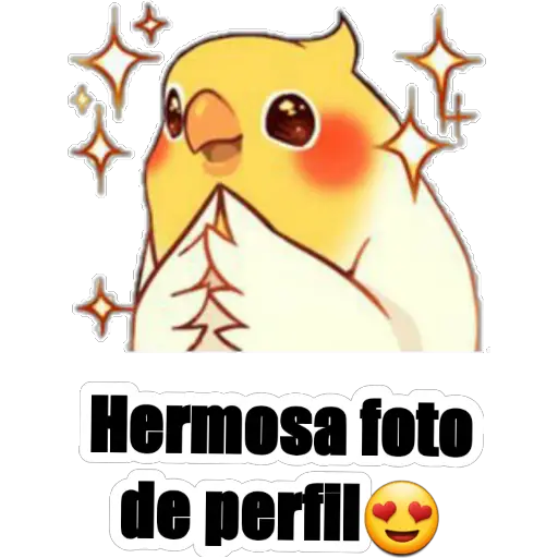 P. Australianos bonitos 🤩 