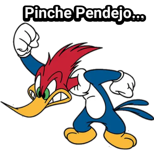 Pajaro Loco preview