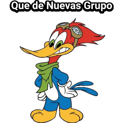 Pajaro Loco