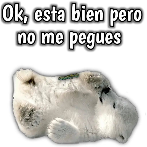 Secuencias j 