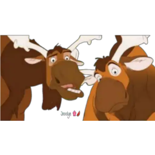 Tierra de osos 🐻🐻 