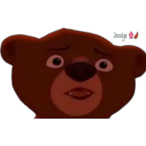Tierra de osos 🐻🐻 
